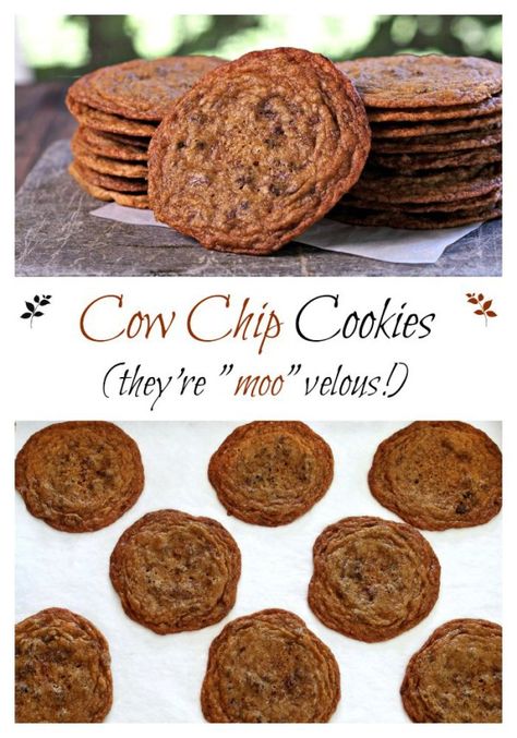 Cow Chip Cookies. These chewy, buttery, chocolatey cookies w/crispy edges will become a family-favorite chocolate chip cookie. I dare you to eat just one. Simply Sated Cow Patty Cookies Recipes, Cow Patties, Cow Pies, Midnight Munchies, Giant Cookies, Jar Cookies, Lace Cookies, Easy Bake Oven, Rock Recipes