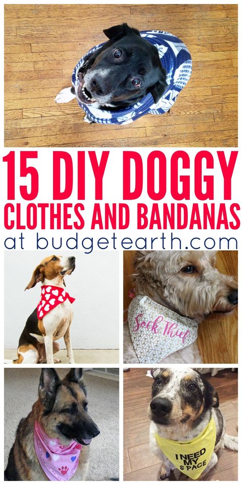 Looking for truly cute dog clothes? Check out these free 15 DIY Doggy Clothes & Bandanas patterns & projects here! Dog Bandana Pattern, Dogs Diy Projects, Dog Clothes Diy, Cute Dog Clothes, Pictures Of Dogs, Dog Clothes Patterns, Dog Projects, Dog Crafts, 15 Diy