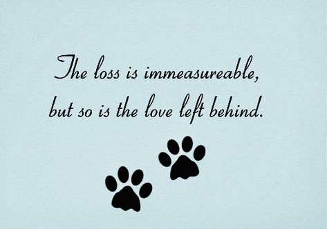 Losing A Dog Quotes, Losing A Pet Quotes, Dog Heaven Quotes, Miss My Dog, Pet Quotes, Dog Poems, Pet Sympathy Cards, Dog Quotes Love, Dog Sympathy