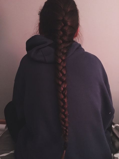 French braid French Braid Dark Hair, Braid Aesthetic Faceless, French Braid Brown Hair, Brunette Braids, Dark Brunette Hair, Single Braid, French Braids, Long Brunette, Shotting Photo