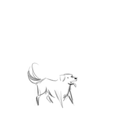 (gif) Dog Animation Reference, Cute Dog Animation, White Gif, Black And White Gif, Book Illustration Layout, Animation Classes, Canine Drawing, Learn Animation, Dog Animation