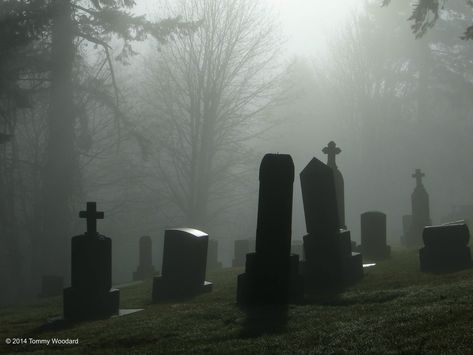 cemetery fog Graveyard Aesthetic, The Ancient Magus Bride, Old Cemeteries, 다크 판타지, Dark Places, Memento Mori, Grunge Aesthetic, Graveyard, 그림 그리기