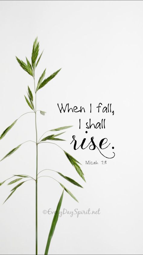 Micah 7:8, Positive Quotes For Life Encouragement, Positive Quotes For Life Happiness, Paper Quote, Calligraphy Quotes, Bible Verses Quotes Inspirational, Bible Verse Wallpaper, Nature Quotes, Scripture Quotes