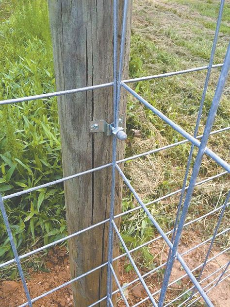 “It’s a simple way to connect livestock panels to T-posts and wood posts. They work much faster than wire or cable ties and result in a stronger fence,” says Phillip Morrow, One Man Fencing, LLC, about his new Livestock Panel Connectors.  The Connectors are available in 2 different styles, one for T-posts and the oth... Shop Hacks, Fence Building, Farming Tractors, Farming Tips, Farm Hacks, Agriculture Equipment, Barn Hacks, Cattle Panels, Goat Barn