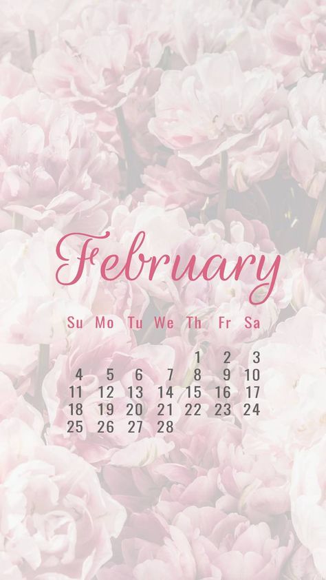 February Aesthetic Month, February Phone Wallpaper, Flower February, February Aesthetic, Calendar Photography, Iphone Background Quote, February Wallpaper, Apple Wallpapers, Free Printable Quotes