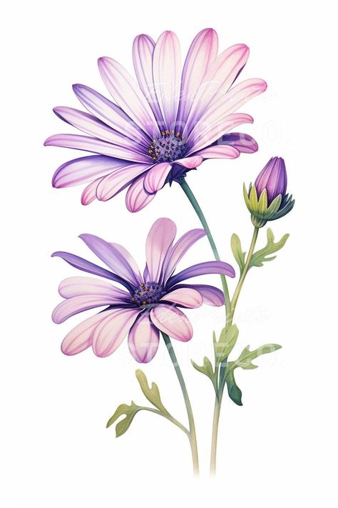 Flowers To Paint Watercolor, Digital Flowers Png, Color Flower Drawing, Botanical Flower Bunch, Osteospermum Flowers, Digital Flowers Design, Different Kinds Of Flowers, Digital Flower, Flower Bunch