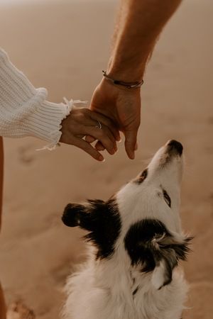 Surfer Couple, Dog Family Pictures, Family Dog Photos, Engagement Photo Shoot Beach, Beach Shooting, Dog Photography Poses, Wedding Fotos, Animal Photoshoot, Beach Photo Session