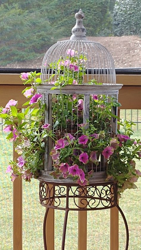 Birdcage Garden Decor, Large Bird Cage Planter Ideas, Birdcage In Garden, Bird Cage Garden Ideas, Birdcage Planter Outdoor, Old Bird Cage Ideas Decor, Large Bird Cage Decor Ideas, Bird Cage Planter Ideas, Decorating Bird Cages