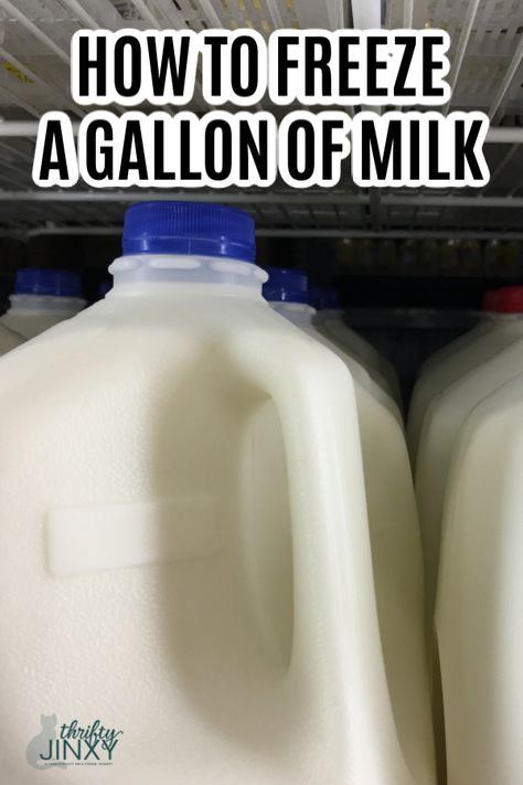 By freezing milk, you can take advantage of milk sale prices and two-for-one deals or stock up for an emergency situation. Use these simple tips to learn how to freeze a gallon of milk. #milk #freezing #prepping #freezemilk #foodstorage Freezer Veggies, Homesteading Knowledge, Freeze Milk, Freezing Milk, Freezing Food Guide, Freezer Ideas, Gallon Of Milk, Freeze Food, Freezing Vegetables