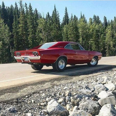 @classicnation posted to Instagram: 68 Dodge Charger    ____________________________________   📩 DM us your classic car picture for a chance to be featured. #️⃣ #classicnation and be sure to follow us! 📺 Check out our website (Link in bio)    ____________________________________    #classicnation #instacar  #cargram #instacars #carporn #autotrend #madwhips #instaauto #classiccar #vintagecar #retrocar #motors #charger #dodge 68 Dodge Charger, Charger And Challenger, 1968 Dodge Charger, Dodge Muscle Cars, Mopar Cars, Mopar Muscle Cars, Best Muscle Cars, Best Classic Cars, Mopar Muscle