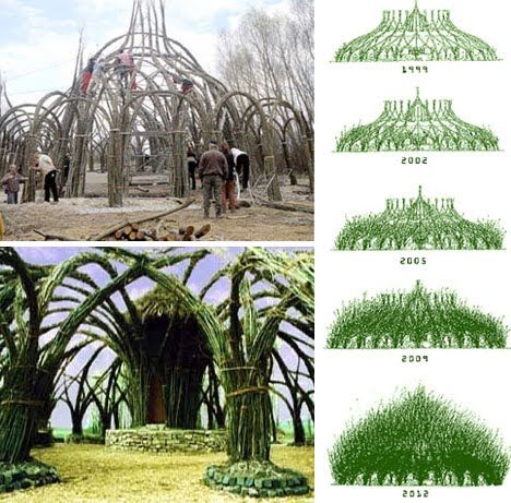 Organic sculpture  http://temporaryreality.blogspot.com/2010/07/tree-sculptures-and-living-buildings.html Willow Architecture, Elven Architecture, Pictures Of Trees, Living Architecture, Living Willow, Natural Architecture, Small Landscape, Fantasy Garden, Living Fence