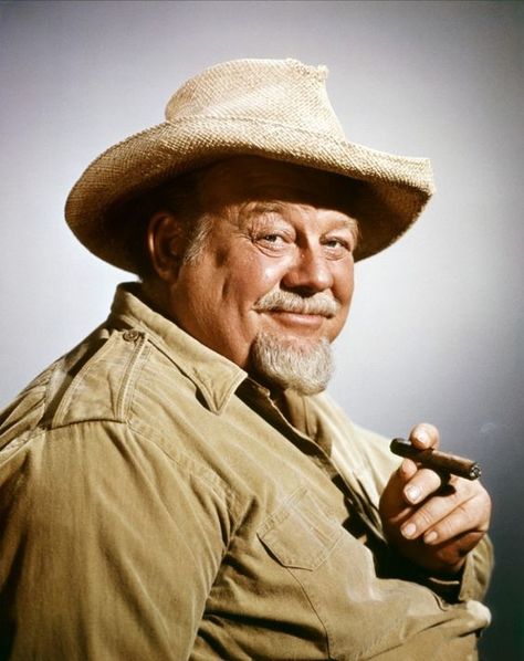 Burl Ives Burl Ives, Blue Tail, Tv Watch, Character Actor, Famous Men, Folk Music, Hollywood Actor, Old Movies, Hollywood Stars