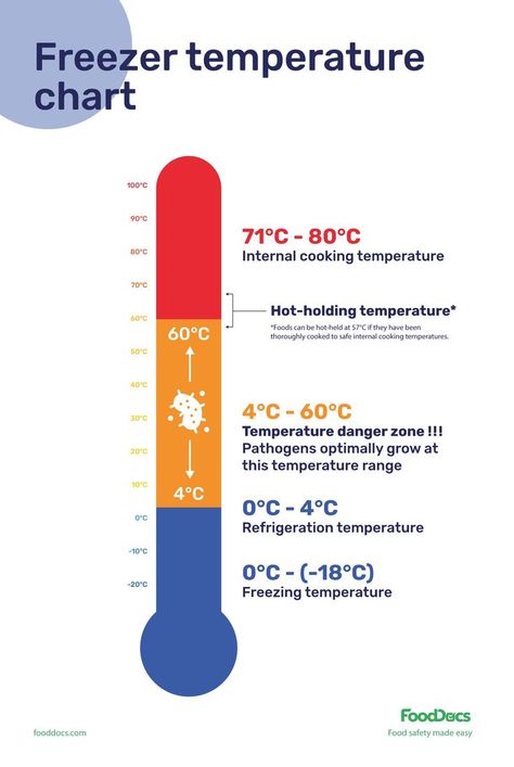 Freezer Temperature Chart | Download Free Poster Food Safety Posters, Food Safety And Sanitation, Food Safety Training, Food Engineering, Culinary Lessons, Temperature Chart, Kitchen Safety, Raw Foods, Danger Zone