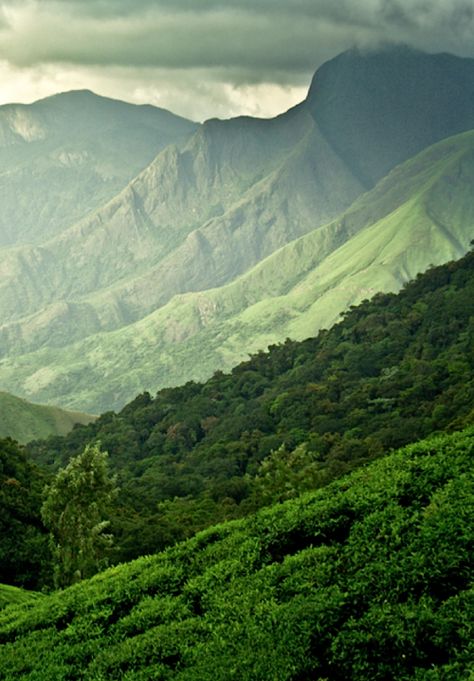 Green Hills. Green Mountain, Oh The Places Youll Go, Lush Green, Kauai, Mobile Wallpaper, Nature Beauty, Beautiful World, Beautiful Landscapes, Wonders Of The World