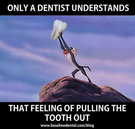 Dental Meme, Radiology Humor, Dental Quotes, Dental Posts, Dental Jokes, Dental Fun, Dentist Humor, Wisdom Teeth Removal, Dental Life