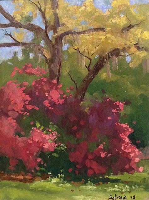 Azalea Bush by Billy Solitario Oil ~ 16 x 12 Azaleas Painting, Flower Bushes Painting, Bush Oil Painting, Azalea Painting, Flower Bushes Drawing, Painted Bushes, Flower Bush Painting, Bushes Painting, Flower Bush Drawing