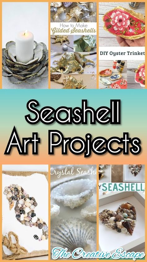 Art Projects With Shells, Creative Things To Do With Seashells, Crafting With Seashells, Craft Shells Ideas, Seashell Home Decor Diy, Art With Seashells Diy Ideas, Crafts With Large Seashells, What To Do With Sea Shells Ideas, What To Do With Shells From The Beach Diy Ideas