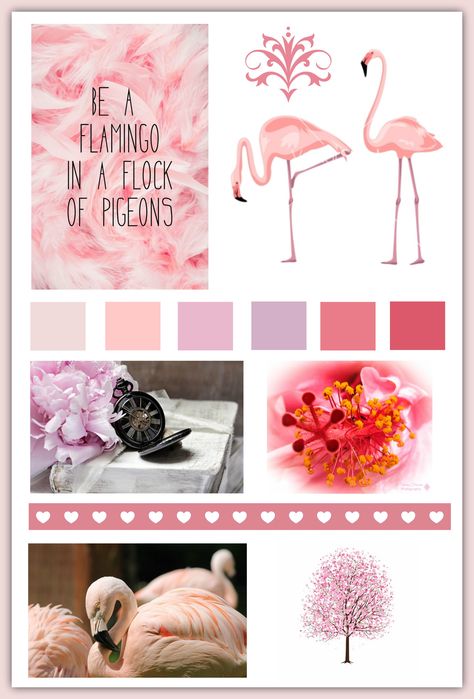 Be a Flamingo Flamingo Collage, Be A Flamingo, Colour Palette, Mood Boards, Flamingo, Beautiful Colors, Wallpapers, Collage, Quick Saves