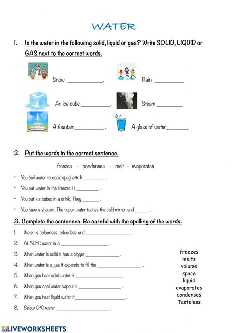 Earth Science Worksheets, Landforms And Bodies Of Water, Water Cycle Worksheet, Water Lessons, Worksheet For Class 2, Sentence Correction, Science Topics, Teacher Planning, School Plan