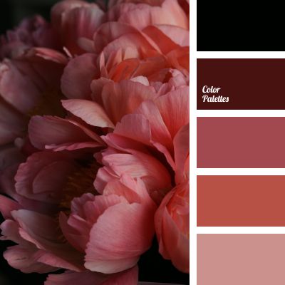 Color Palette #4388 Elf Fashion, In Color Balance, Burgundy Colour Palette, Color Palette Ideas, Wall Living Room, Red Colour Palette, Wood Elf, Palette Ideas, Pink Palette