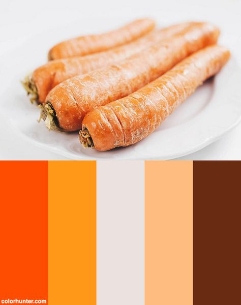 Carrots Healthy, Carrot Colour, Dog Bun, Color Shades, Hot Dog Buns, Color Scheme, Color Schemes, Carrots, Close Up