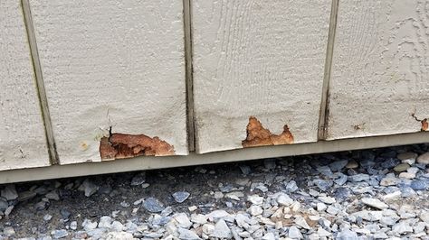 Damaged vertical siding? Here's what you can do about it! (And you won't have to replace all the siding) #homeimprovement #diy Diy Siding Exterior Cheap, Diy Siding, T1 11 Siding, Vertical Wood Siding, Lp Smart Siding, Wood Panel Siding, Siding Repair, Replacing Siding, Plywood Siding