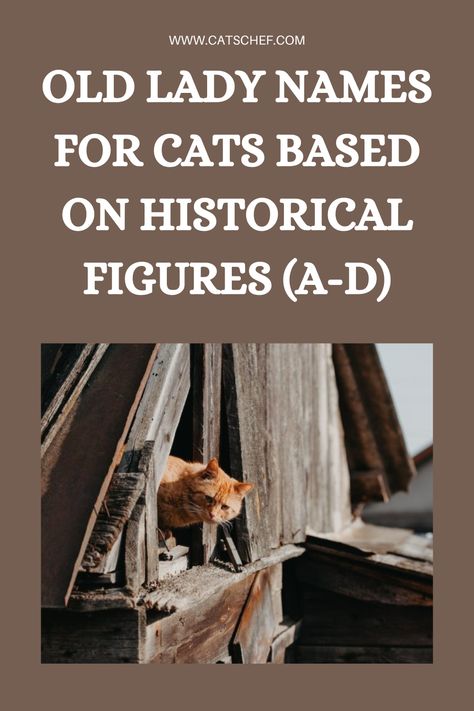 History is full of famous ladies who changed the world. Some of them were famous rulers, while others were scientists, writers, artists, fashion icons, or even journalists and athletes. When Beyonce said that women rule the world, she was right. I mean, look at all these powerful women! If you want to give your cat a unique and meaningful name, you’ll definitely enjoy these old successful lady names. Enjoy! #catschef #cat #cats #kitten #kittens #catlover #catlovers #catlife #catoftheday Successful Lady, Names For Cats, Old Lady Names, Girl Cat Names, Women Rule, Meaningful Names, Vintage Names, Town Names, Rule The World