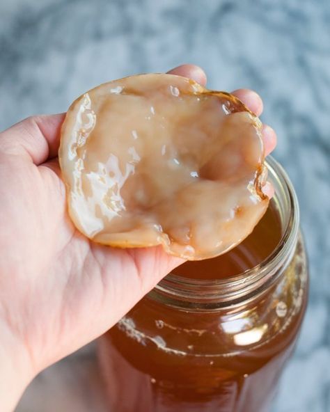 How to make your own SCOBY and Kombucha Tea. This is a great drink with lots of probiotics and very economical to make - compared to the bottled stuff you buy in the organic section of the grocerystore. Make Your Own Kombucha, Kombucha Scoby, How To Brew Kombucha, Homemade Kombucha, Kombucha Recipe, Kombucha Tea, Fermentation Recipes, Fermented Drink, Cooking Lessons