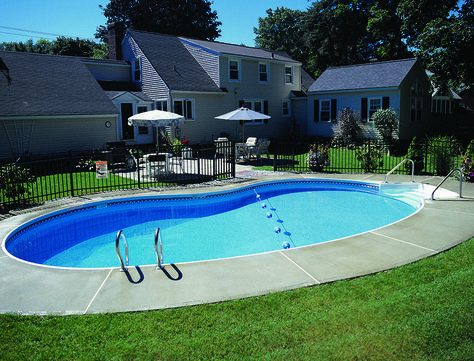 Kidney-LaFrance Kidney Pool, Small Inground Pool, Inground Pool Designs, Kidney Shaped Pool, Landscaping Around House, Pools Backyard Inground, Pool Shapes, Fiberglass Pools, Inground Pool