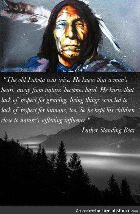 Native Quotes, American Indian Quotes, Native American Prayers, Native American Proverb, Native American Spirituality, American Quotes, Indian Quotes, Native American Wisdom, American Indian History