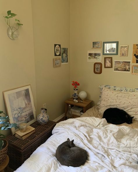 Cat Corner Ideas, Inn Bedroom, Cat Corner, Corner Ideas, Pretty Room, Cats Art, Dreamy Room, Dream Room Inspiration, First Apartment