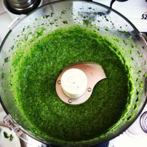 Basil-Jalapeno Pesto • total body nourishment | lauren venosta Sous Vide Tri Tip, Cooking Tri Tip, Oregano Leaves, Raw Garlic, Tri Tip, Vinaigrette Recipes, Fresh Oregano, Pesto Recipe, Basil Pesto