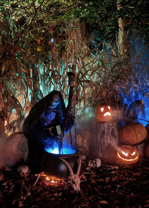 Chop Shop Halloween Decor, Scary Halloween Ideas Haunted Houses, Scary Outdoor Halloween Decor Front Yards, Halloween Witch Display Ideas, Halloween Witch Scenes Outdoor, Halloween Hedge Decor, Witch Decor Outdoor, Halloween Walk Through Ideas Outside, Halloween Witches Lair