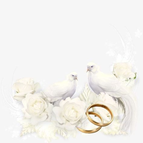 Wedding Ring Background, Decoupage Wedding, Simple Wedding Cards, Engagement Invitation Cards, Wedding Doves, Wedding Card Frames, Wedding Petals, Wedding Illustration, Wedding Clipart