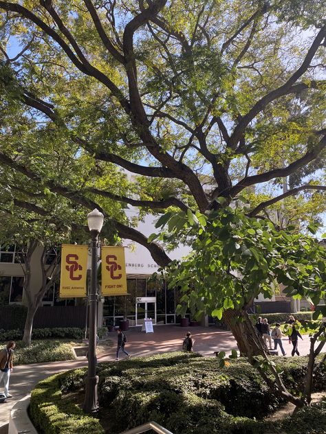 USC Campus USC Annenberg Usc Student Aesthetic, Usc University Aesthetic, Usc Campus Aesthetic, Usc College Aesthetic, Usc Aesthetic Wallpaper, Usc Aesthetic Campus, California College Aesthetic, Manifesting University, Usc Aesthetic