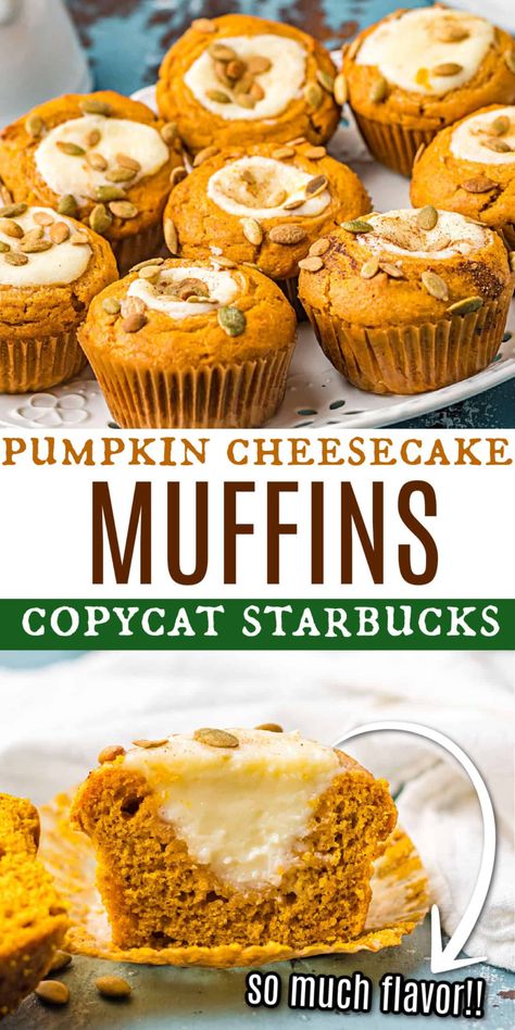 Cheesecake Pumpkin Muffins, Starbucks Pumpkin Cheesecake Muffins, Pumpkin Cupcakes With Cream Cheese Filling, Copycat Pumpkin Cream Cheese Muffins, Pumpkin Muffins With Pumpkin Seeds, Pumpkin Cream Cheese Muffins Starbucks, Starbucks Pumpkin Muffins Cream Cheeses, Pumpkin Spice Muffins With Cream Cheese, Copycat Starbucks Pumpkin Muffins