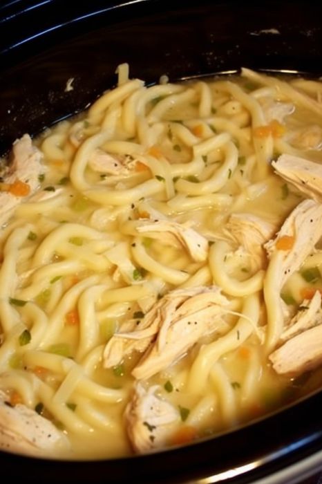 CHICKEN NOODLES CROCK POT
￼
Slow Cooker Chicken and Noodles: A Cozy Classic!
Indulge in the comforting embrace of chicken and noodles, lovingly slow-cooked to perfection in your crockpot! This effortless, enduring dish promises to delight even the most discerning palates.
Ingredients:
– 2 cans of cream of chicken soup – 2 cans of chicken broth (15oz each) – 1 stick of butter or margarine – 1 lb chicken breasts (fresh or frozen) – 1 package of frozen egg noodles (24 oz) (like Reames)

Directions:
1. Arrange the chicken breasts at the bottom of your crockpot. 2. Pour in the chicken broth and cream of chicken soup over the chicken. Place the stick of butter on top. 3. Set your crockpot to low and let it cook for 6-7 hours. 4. Once cooked, take out the chicken from the crockpot and shred it us Chicken And Frozen Noodles, Chicken And Noodles Reames, Chicken Noodles Crock Pot, Slow Cooker Chicken And Noodles, Frozen Egg Noodles, Crockpot Chicken And Noodles, Chicken And Noodles, Chicken Noodles, Turmeric Benefits