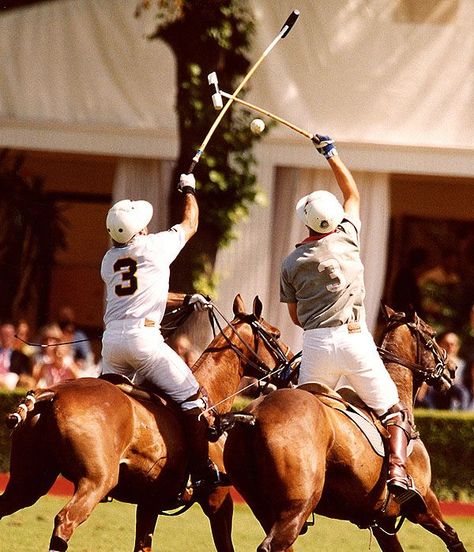 . Portugal Scenery, Yellowstone Vacation, Cow Boys, Polo Horse, Beach Sky, Sport Of Kings, Polo Match, Scenery Photography, Kings Game