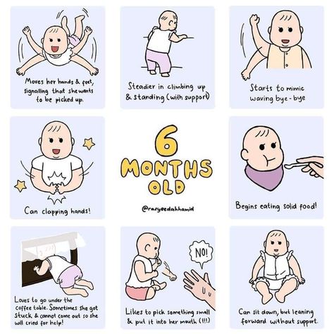 6 Months Milestones, 5 Month Milestones, 5 Month Old Milestones, 5 Month Baby Milestones, 6 Month Old Milestones, 6 Month Baby Milestones, Stages Of Baby Development, Baby Milestone Chart, Baby Development Milestones