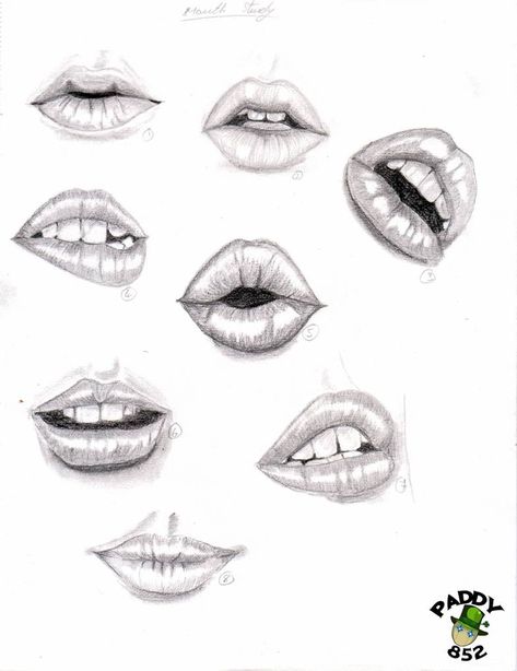 study of lips by paddy852 on DeviantArt Drawing Lips, Beautiful Pencil Drawings, Mouth Drawing, Nose Drawing, Drawing Faces, Lips Drawing, Drawing Studies, Angel Face, Flower Doodles