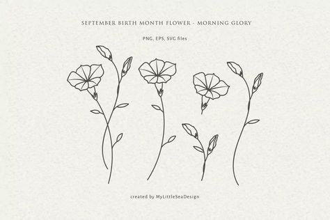 September Birth Flower Tattoo Simple, Single Morning Glory Flower Tattoo, Aster And Morning Glory Tattoo Simple, Morning Glory Outline Tattoo, Minimal Morning Glory Tattoo, Simple Morning Glory Flower Tattoo, Morning Glory Simple Drawing, Simple Morning Glory Flower Drawing, Morning Glory Minimalist Tattoo