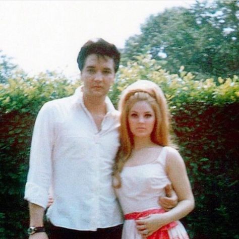 Female Icons Of The 1960s ✨’s Instagram profile post: “Elvis and Priscilla 💚” Elvis And Me, Nancy Sinatra, San Tropez, Elvis And Priscilla, Ann Margret, Barbara Stanwyck, Blue Hawaii, Fred Astaire, Priscilla Presley