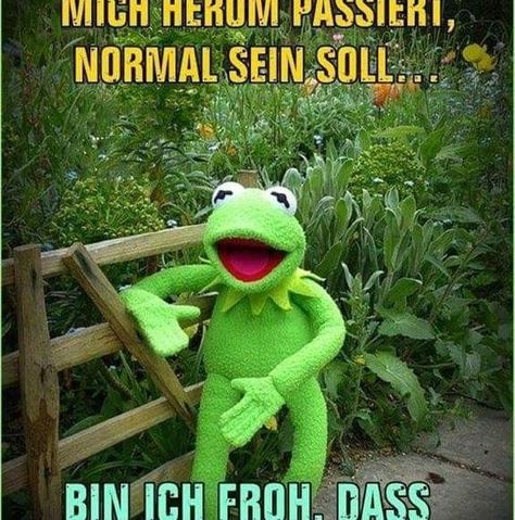 Kermit Der Frosch: Die 11 Lustigsten Bilder Sprüche Für WhatsApp Kermit Funny, Facebook Humor, Kermit The Frog, Green Frog, Good Humor, The Frog, Life Skills, Yoga Poses, Life Lessons