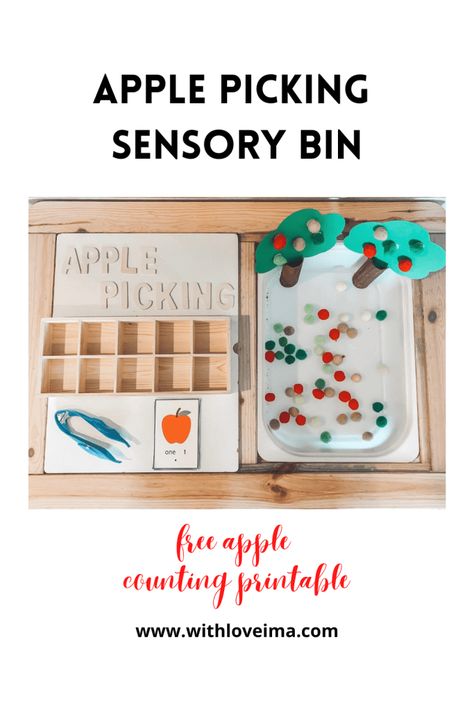 Rosh Hashanah Sensory Bin, Rosh Hashanah Preschool Activities, Rosh Hashanah Traditions, Nature Classroom, Prek Activities, Picking Apples, Pre K Activities, Rosh Hashana, Sensory Bin