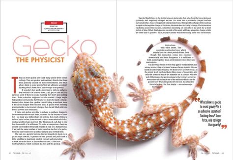 Professional Magazine Layout, Playful Magazine Layout, 2 Page Magazine Spread, Animal Magazine Layout, Magazine Article Layout Design, Magazine Spread Design Creative, Magazine Spread Ideas, Article Design Layout, Magazine Spread Layout