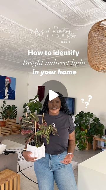 Nkhensani Rikhotso | HerMerakai on Instagram: "What does Bright Indirect Sunlight actually mean? 👀☀️ 

Every looked at the care instructions for a plant you want to buy and it says, low/bright indirect/ bright light and you had no idea what it means? 

Here’s my quick planty hack to help you identify the best light for any plant 🪴 

#plantlovers #houseplantcare #brightindirectlight #houseplantclub #houseplantlove  #houseplantjournal #houseplantsofinstagram #houseplantsmakepeoplehappy #urbanjungle to 
#therealhouseplantsofinstagram #houseofplantlovers #plantsmakemehappy #monsteramonday #blackgirlsgardening #helloplantlover #noirplantclub #pocketofmyhome #urbanjunglebloggers #plantsofinstagram #ihavethisthingwithplants #crazyplantlady #indoorplants #houseplantcommunity #jungalowstyle #plan Indirect Lighting Plants, Succulent Ideas, Jungalow Style, Plant Journal, Indirect Sunlight, Indirect Lighting, House Plant Care, You Have No Idea, Plant Lady