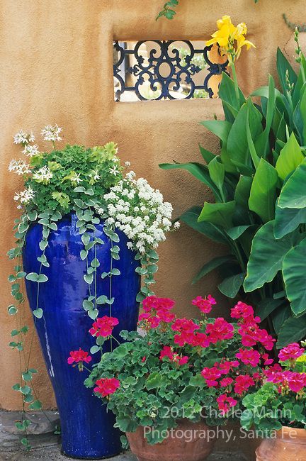 Mexican Garden, Blue Ceramic Vase, Spanish Garden, Blue Planter, Taos New Mexico, Red Geraniums, Garden Containers, Mediterranean Garden, Garden Features