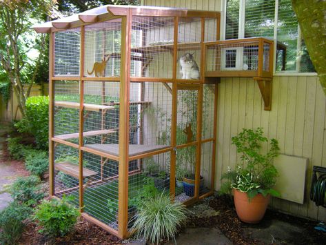 Incredible Catios by Catio Spaces in Seattle Catio Plans, Diy Cat Enclosure, Katt Diy, Katt Grejer, Chat Diy, Kat Diy, Cats Outside, Cat Patio, Diy Cat Tree