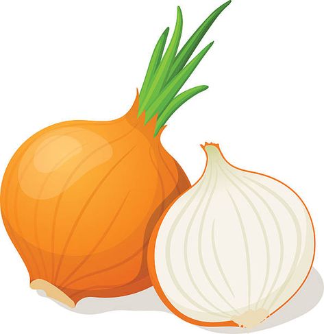 Fruit and Vegetables - Baamboozle Onion Image, Onion Cartoon, Free Printable Card Templates, Vegetable Cartoon, Vegetable Pictures, Onion Bulbs, Background Food, Paper Cutout Art, Onion Dip