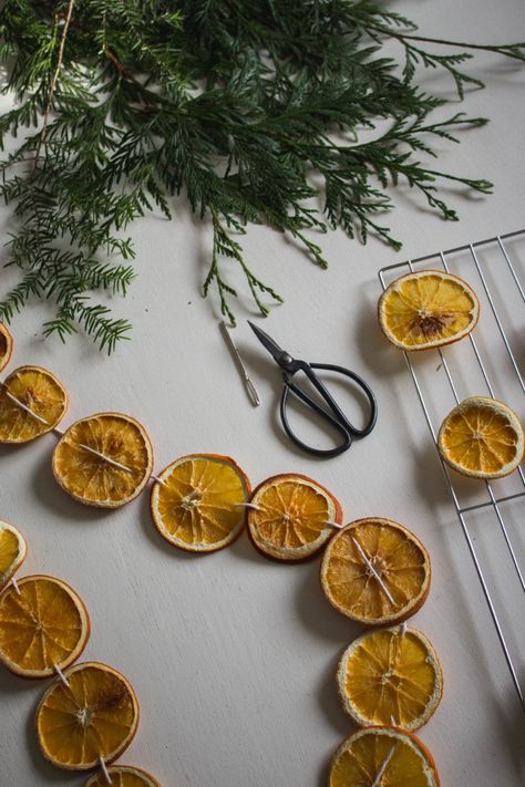 Diy Dehydrator, Orange Garland Diy, Orange Christmas Tree, Holiday Garland, Garland Diy, I Want To Live, Orange Christmas, Christmas Tablescape, Holiday Garlands